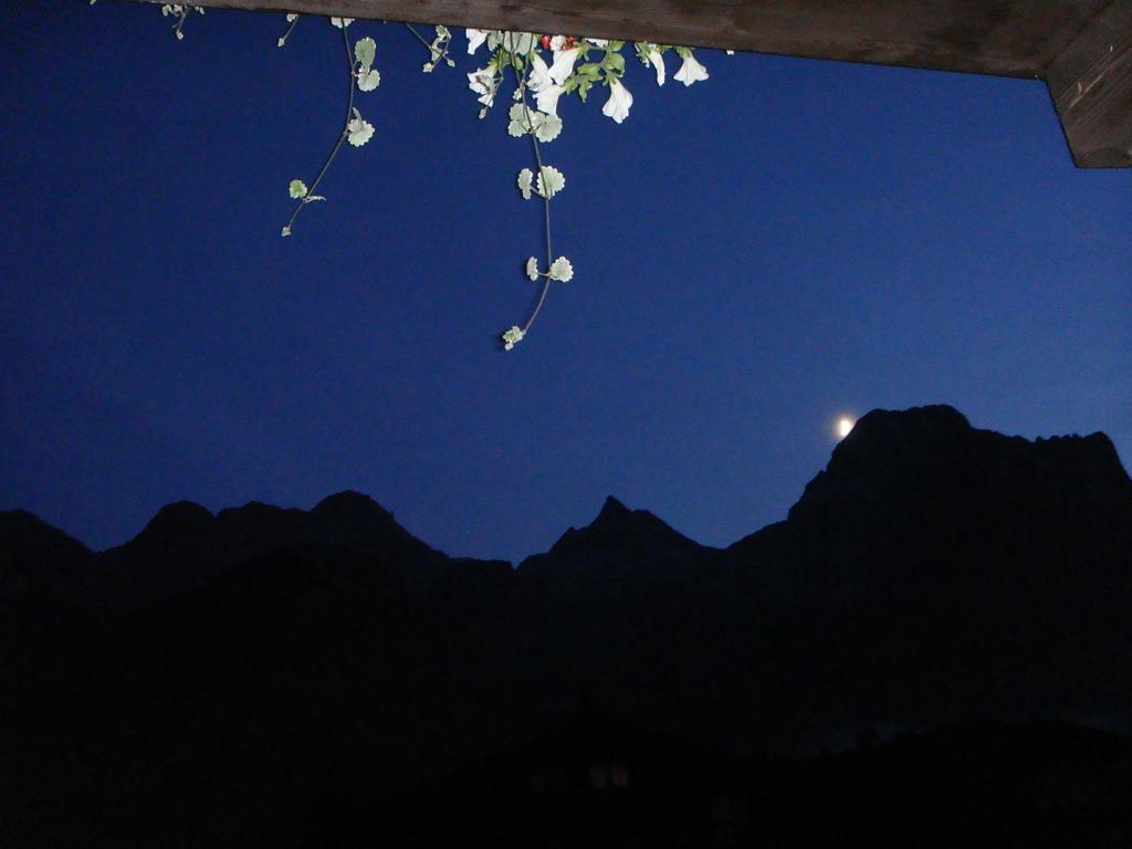 Ferienwohnung Haus Alpengruß Lofer Exterior foto
